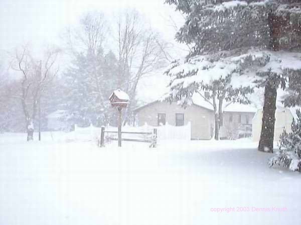 Snowy Day in Winters