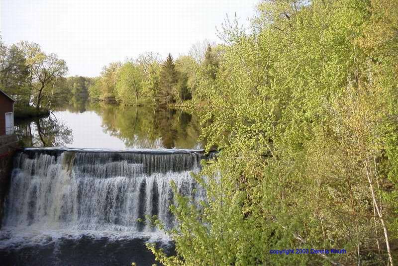 Springtime Dam with budding spring time leaves