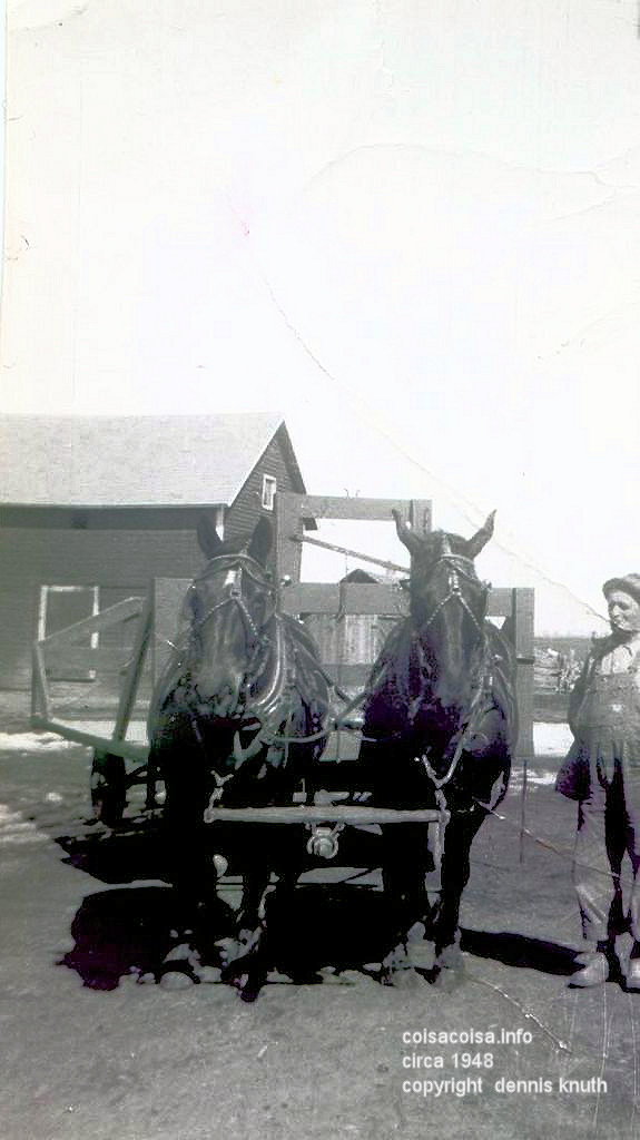 Horses on a dairy farm with Bill Knuth