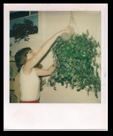 1975_00_00_peggy_plants_03_600dpi.jpg
