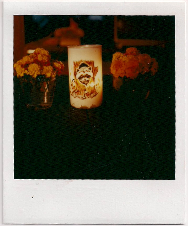 Marigolds on 38th Street