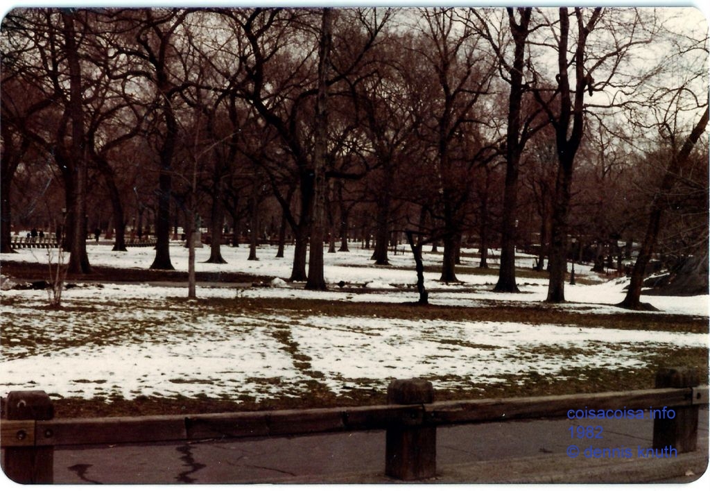 Brazilians Helton and Yedda in the snowy park