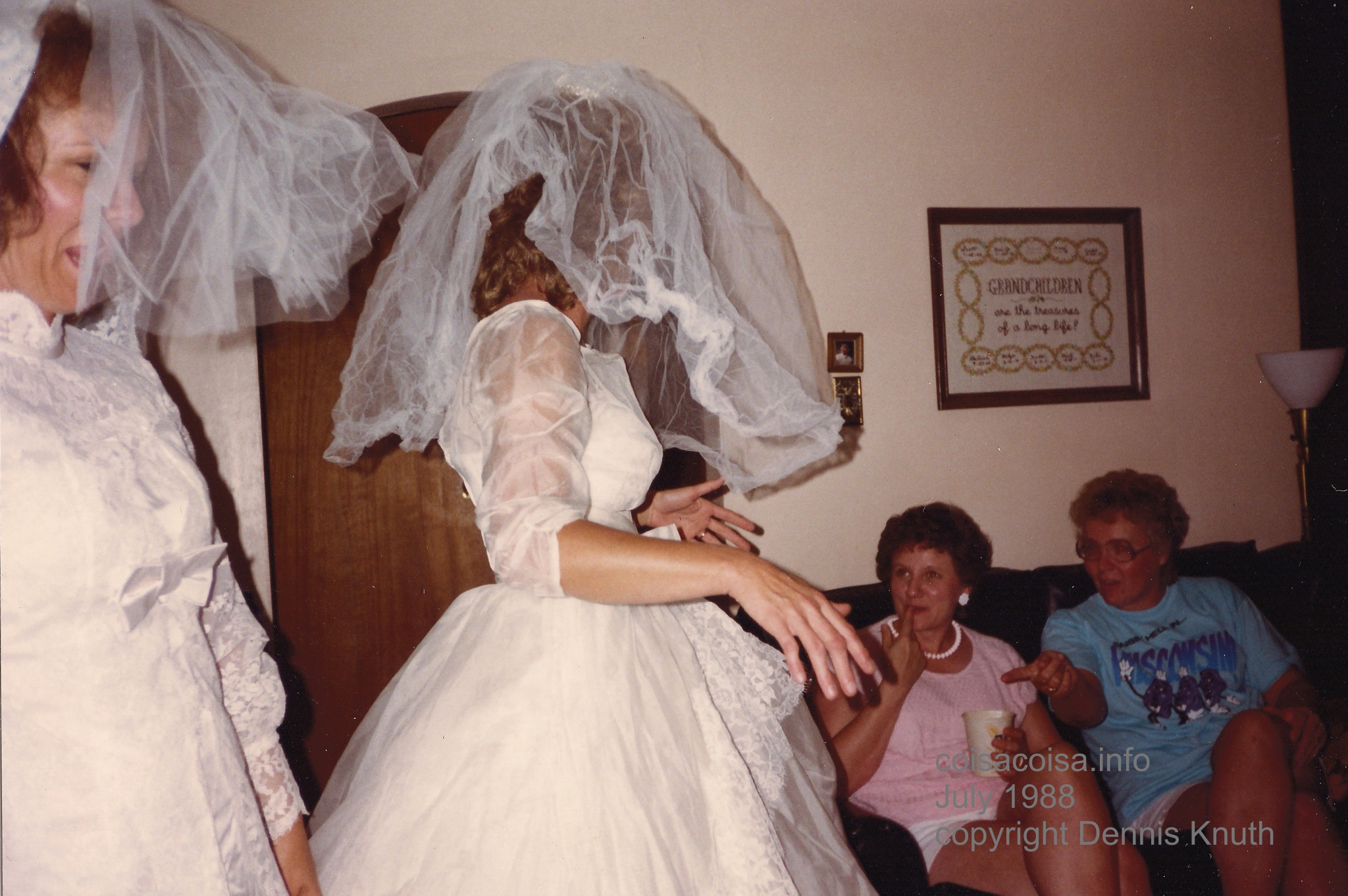 The Daniels Twins in their Wedding Dresses