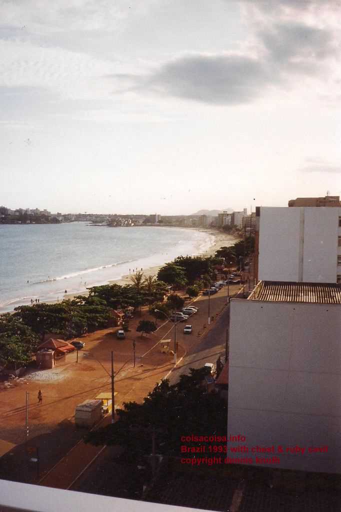 The beach from our hotel window