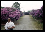 Chester among the flowers at Pampulha lake