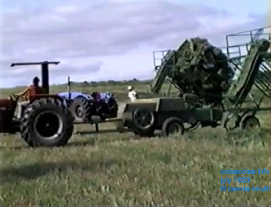 Gary Saxe Making Hay will the sun shines in Mondovi Wisconsin