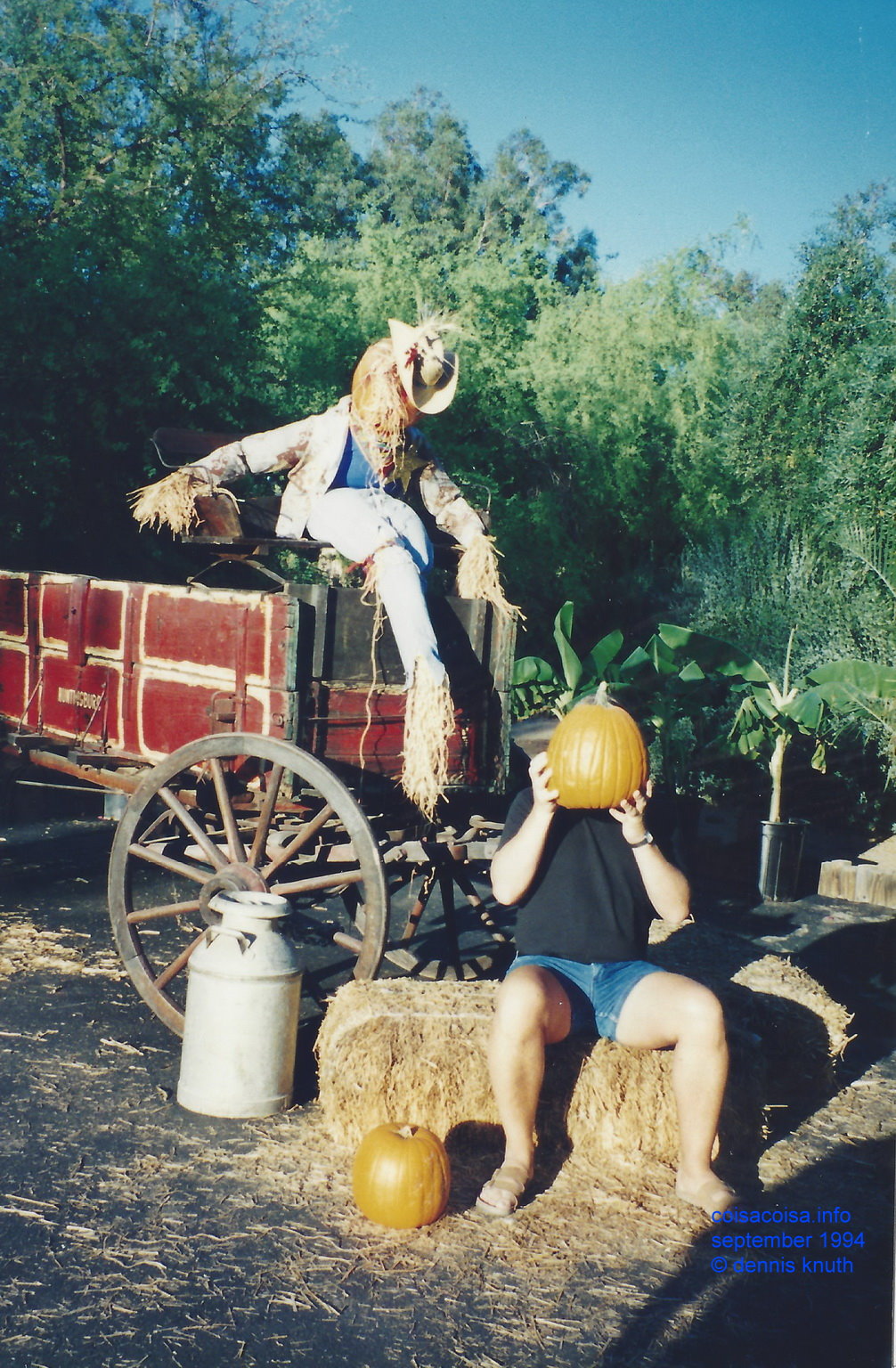 Dennis Knuth as a pumpking Head at the phoenix zoo