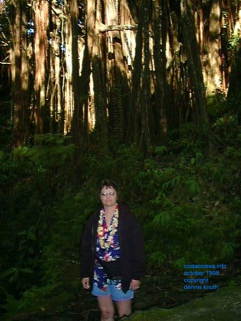 Sherri at Akaka Falls State Park Sherri on the Island of Hawaii