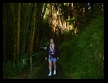 Sherri in the Hawaii Island Akaka Falls State Park