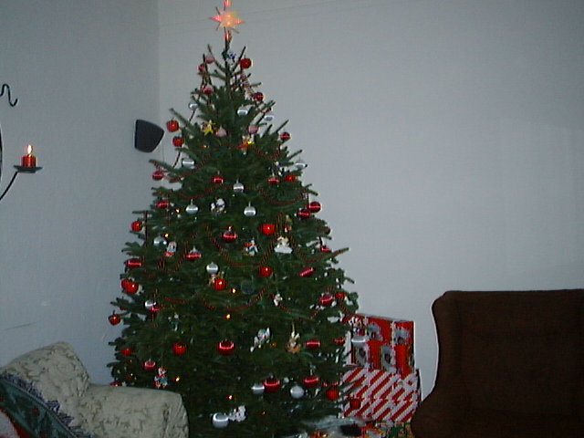 Christmas Party 1999 RDA