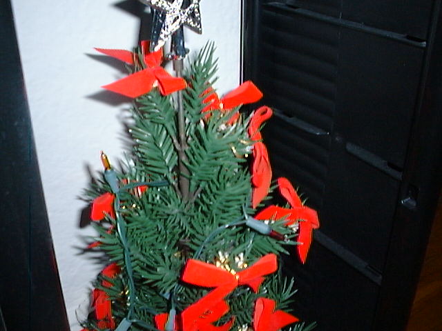 Christmas Party 1999 RDA