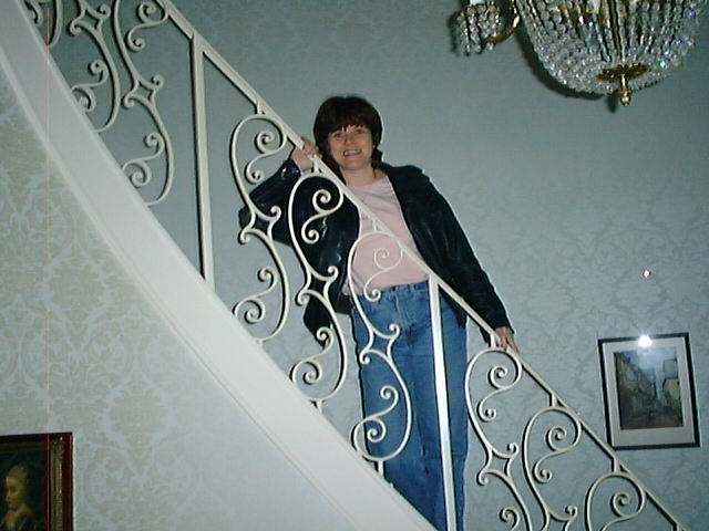 Jeanettes house rose on a stair way