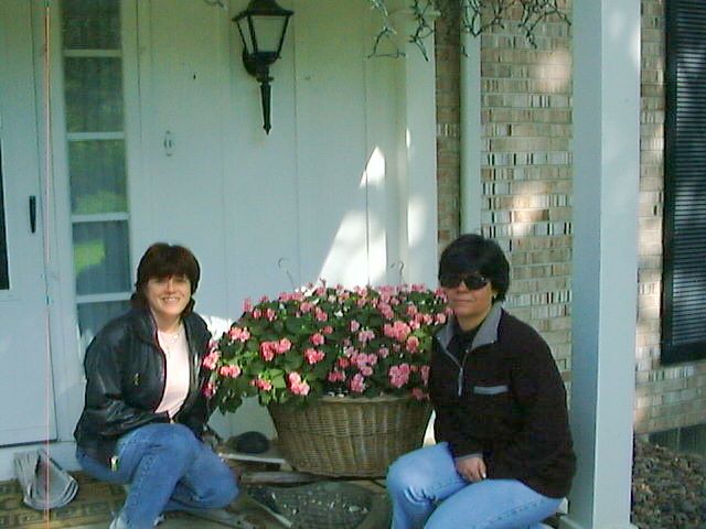 Flowers at Jeanettes