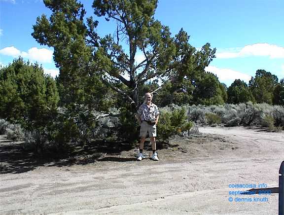 Erv out in the desert