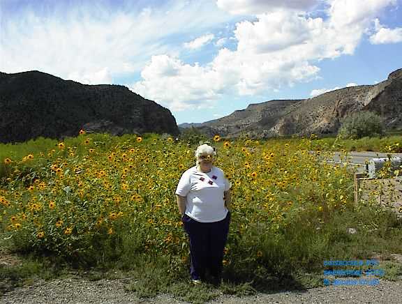 Gloria Pushing Daisies