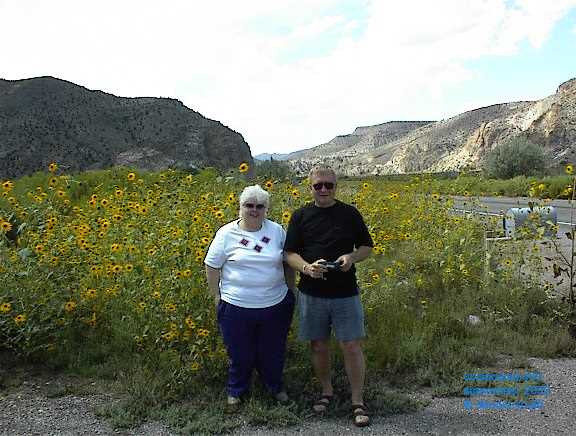 Dennis and Glowg Pushing Daisies