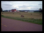 Round bails on a Wisconsin Farm