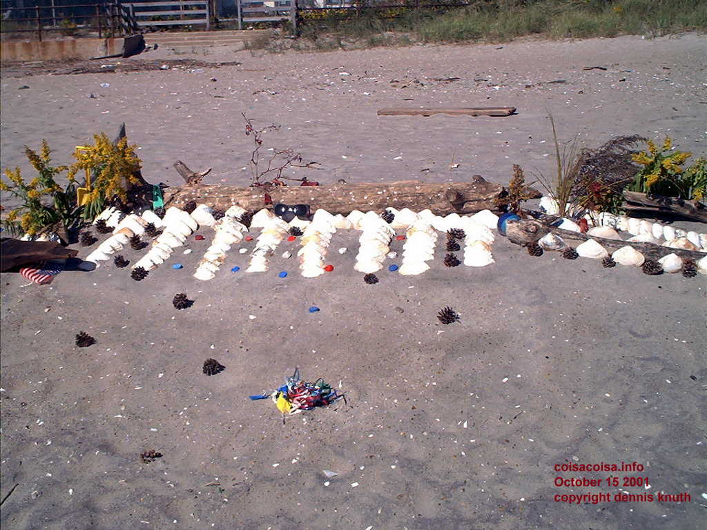Seashell art on the beach