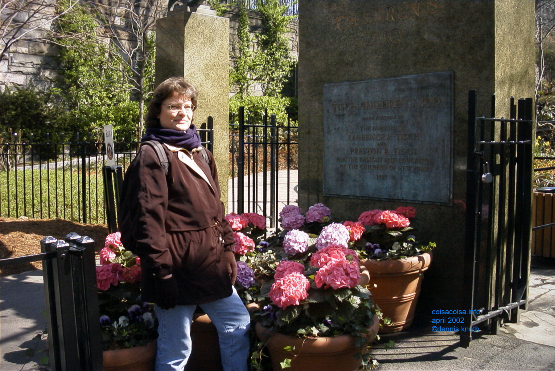 Central Park Hydrangeas pose