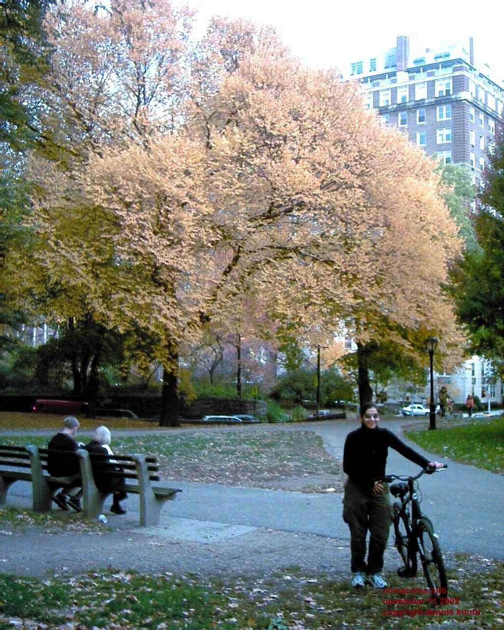 Autumn collors with Cilesia