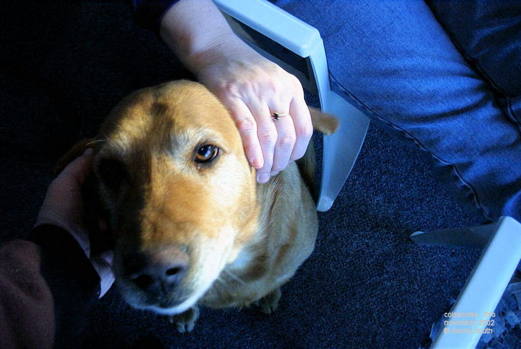 Toby gets ear action