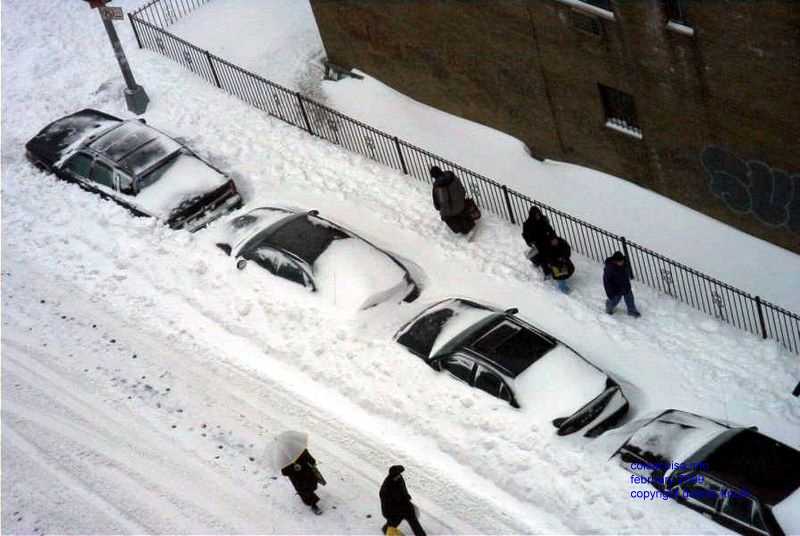 Street Walkers in Elmhurst