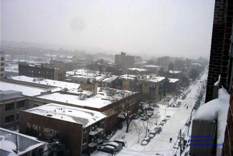 blizzard_2003_0217_c.jpg (large)