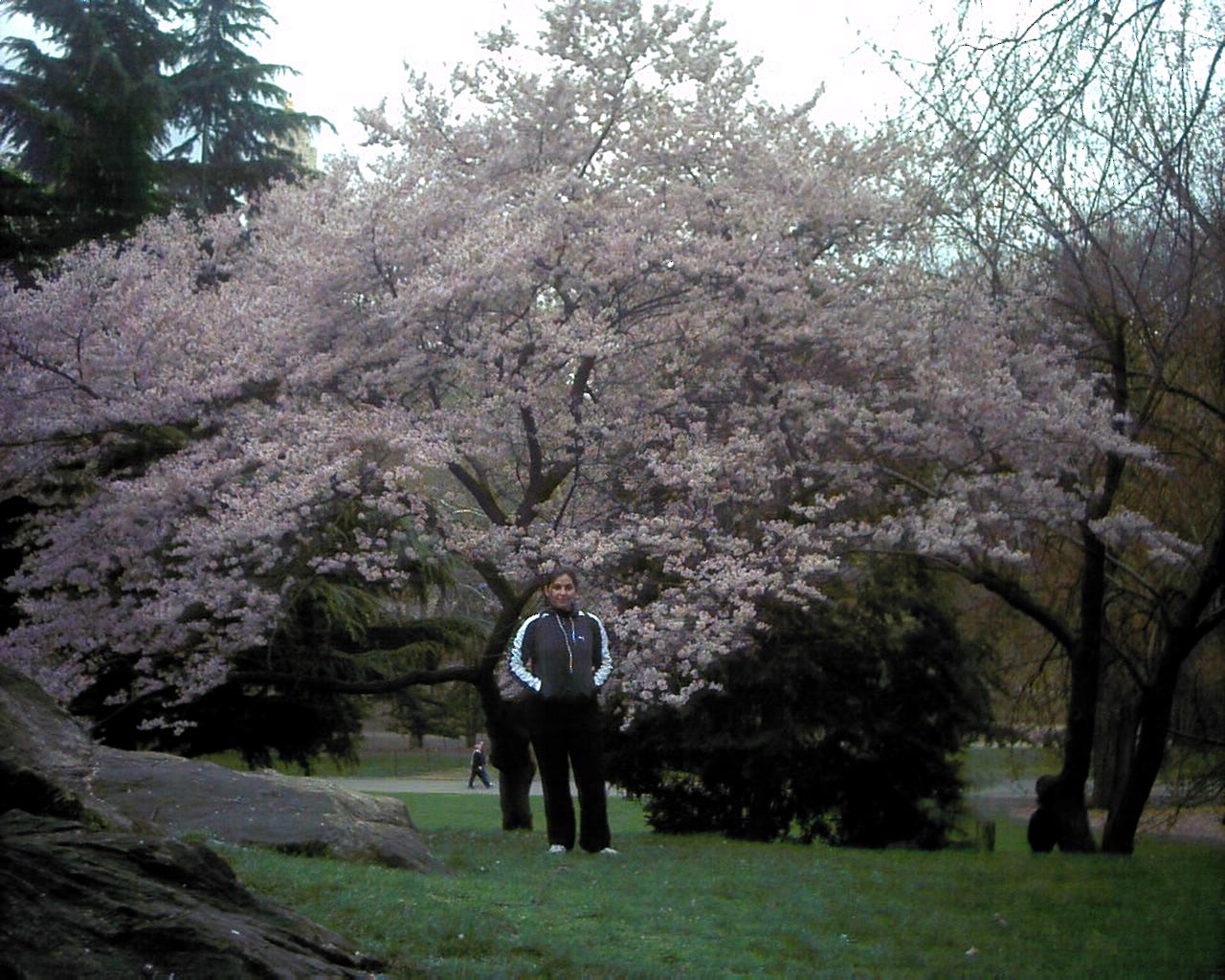 Silesia Patricia Oliveira