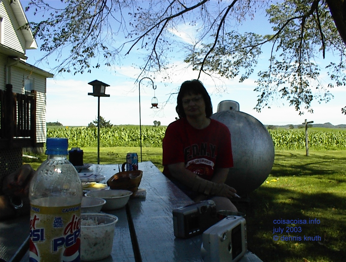 Hostess Sherri for the Independence Day Picnic