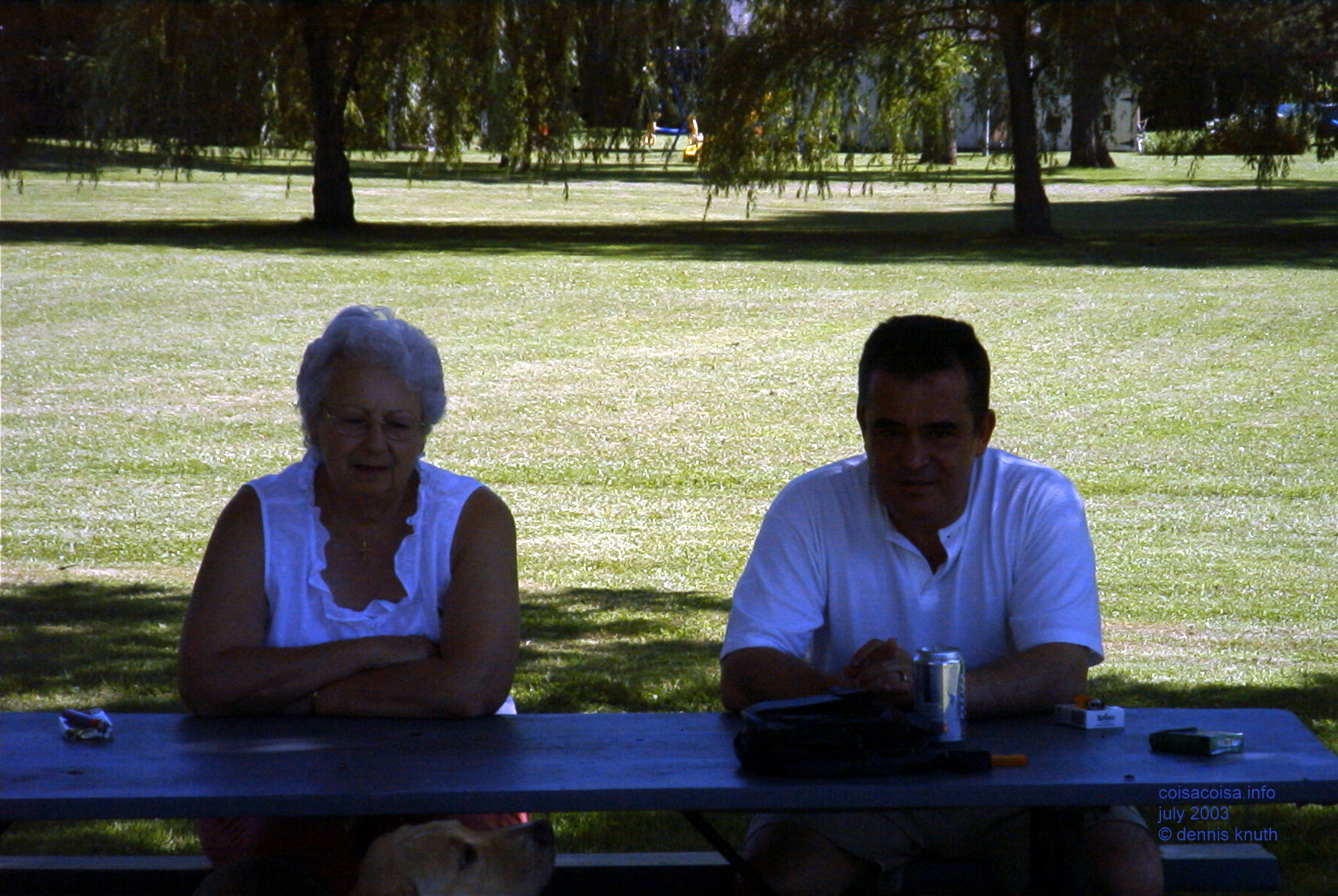 Durand Wisconsin Independence Day Weekend 2003