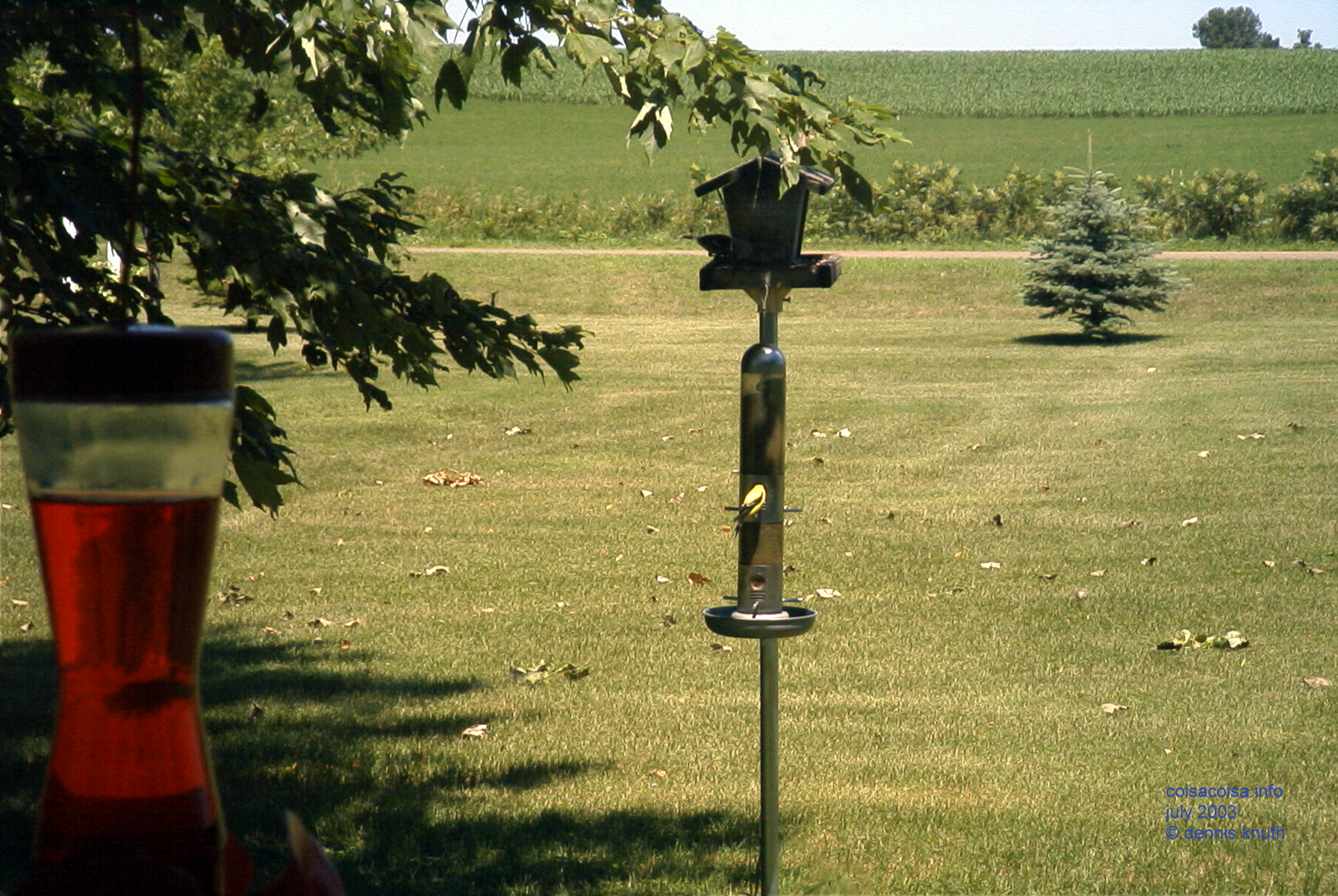 Durand Wisconsin Independence Day Weekend 2003