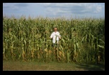 A field of corn with Dennis in it