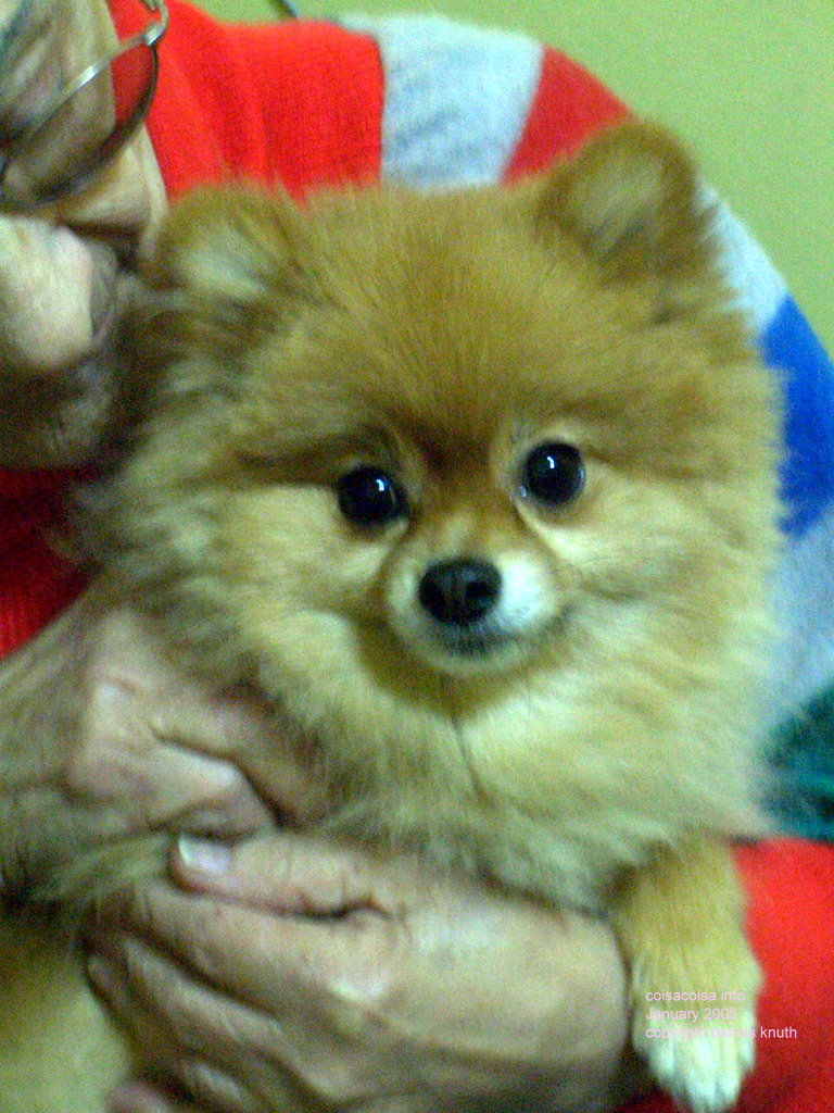 Toby Olgas favorite friend