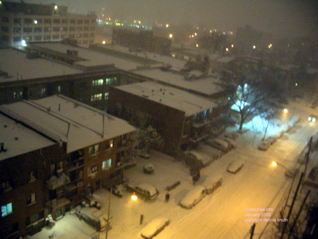 Snowy Elmhurst at night