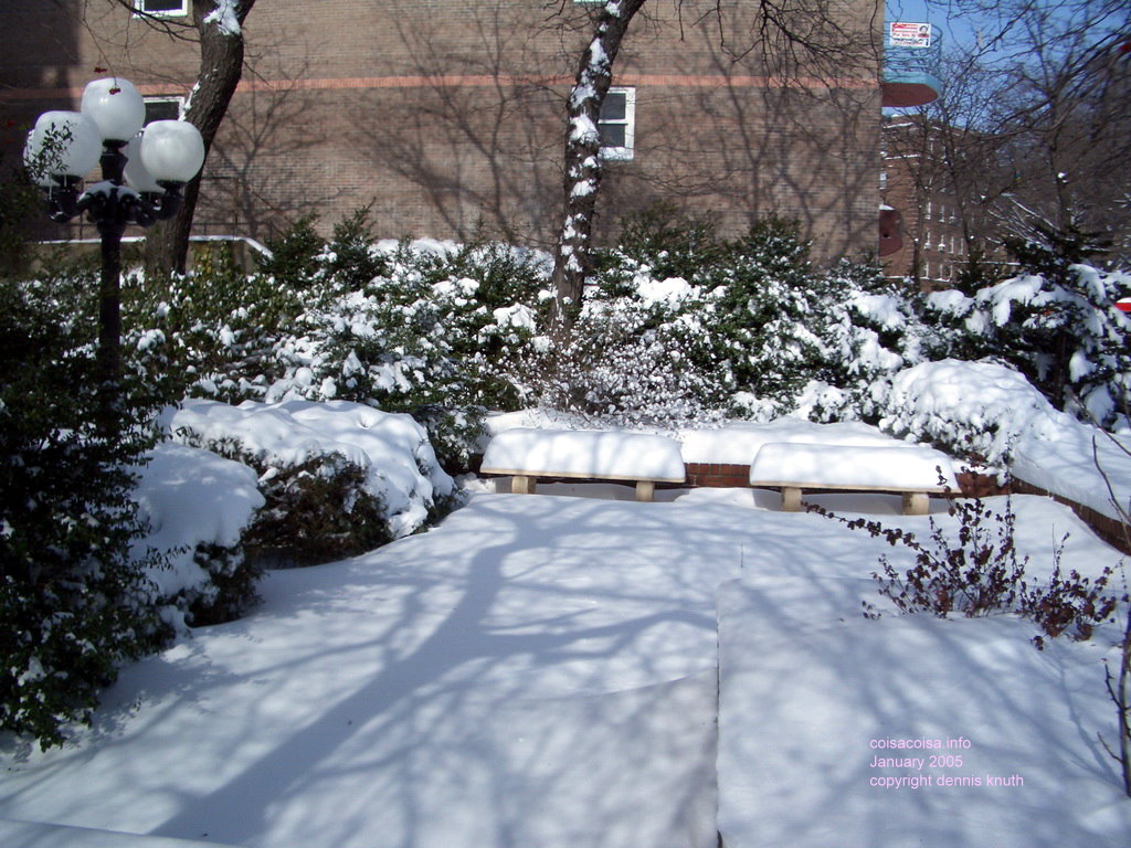 Elmhurst Towers park snow
