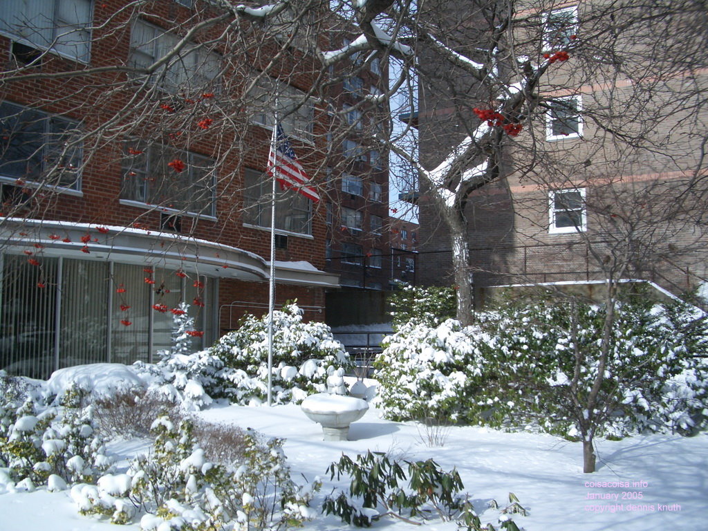 Elmhurst Towers snow