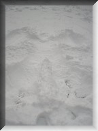 A snow angel in 2005 in Queens New York