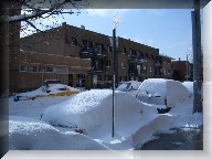 Elmhurst cars piled with snow