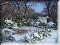 Towering snow at Emhurst