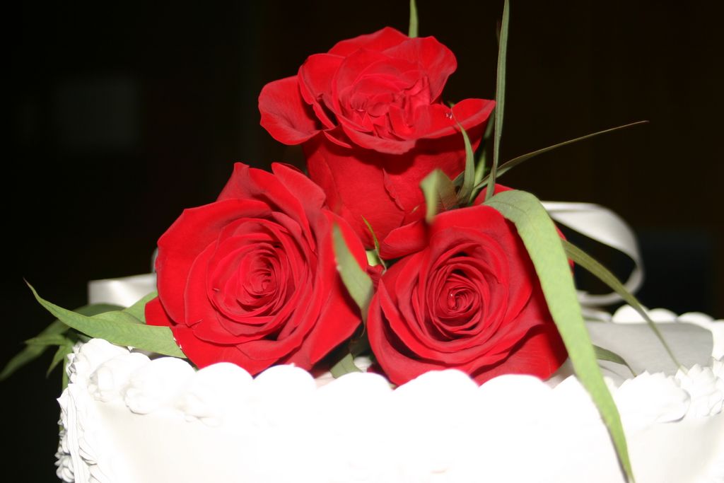 2005_08_00_flowers_and_favors_017.jpg (large)