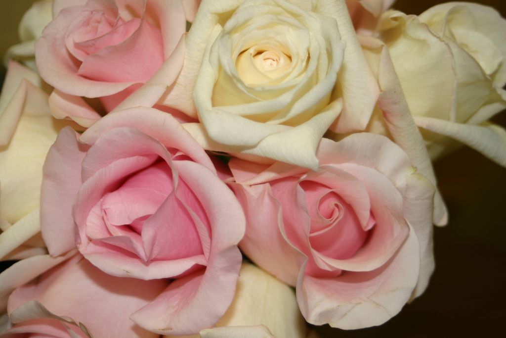 2005_08_00_flowers_and_favors_018.jpg (large)