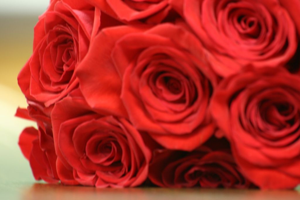 2005_08_00_flowers_and_favors_023.jpg (large)