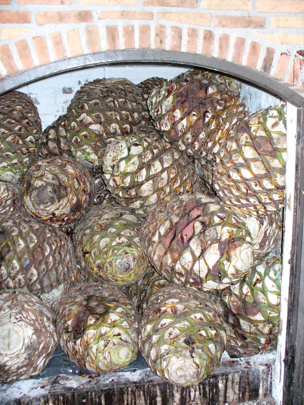 2006_03_26_mexico_16.jpg (large)