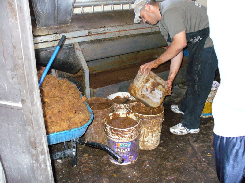 2006_03_26_mexico_17.jpg (large)