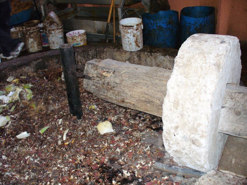 2006_03_26_mexico_18.jpg (large)