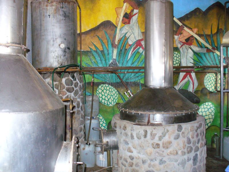 2006_03_26_mexico_19.jpg (large)