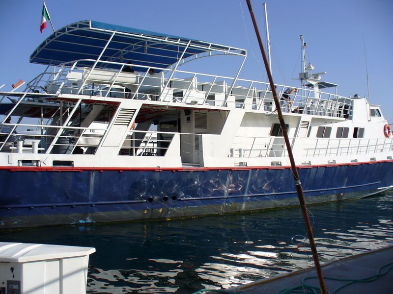 2006_03_28_mexico_100.jpg (large)