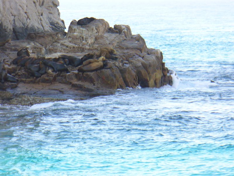 2006_03_28_mexico_110.jpg (large)