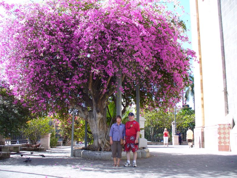 2006_03_28_mexico_2.jpg (large)