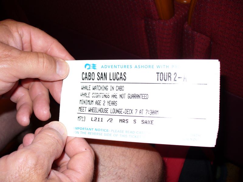 2006_03_28_mexico_95.jpg (large)